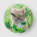 Recherche de yeux verts horloges Mignon