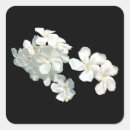 Search for white blossom stickers Garden
