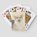 Search for welsh playing cards Red