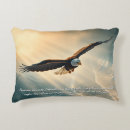 Search for eagle pillows Scripture
