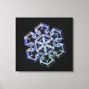 Search for crystal cold art Micrography