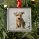 Search for animal ornaments Puppy