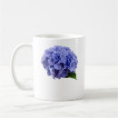 Recherche de hortensias tasses Jardin