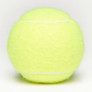 Search for designer tennis balls Blank