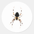 Search for weaver stickers Arachnid