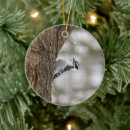 Search for woodpecker ornaments Winter