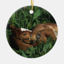 Recherche de pur sang ornements Herbe