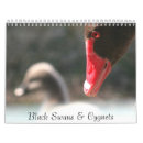 Search for swans swan calendars Black