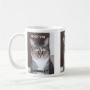 Recherche de chat tigre tasses Chats