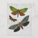 Recherche de butterfly cartes postales Antique