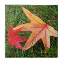 Search for maple leaf tiles Nature