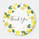 Recherche de jaune citron magnets Agrumes