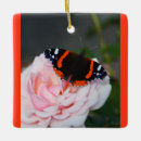Search for admiration ornaments Butterfly