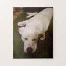 Search for curling puzzles Sleeping