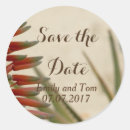 Search for summer romance stickers Floral