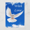 Search for love son postcards Mom