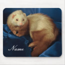 Recherche de belette tapis souris Animal