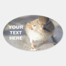 Recherche de leader stickers Motivation