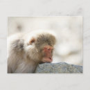 Recherche de préfecture cartes postales Scène rurale