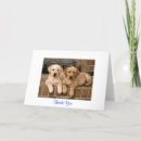 Search for labrador thank you cards Thanks