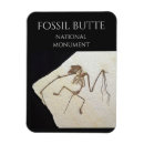 Search for green river magnets Souvenir
