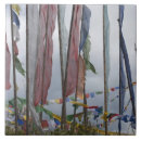 Search for pole tiles Asia