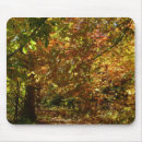 Search for canopy electronics Trees