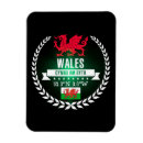 Search for wales magnets Souvenir