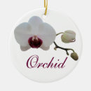 Search for orchid ornaments tropical