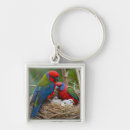 Search for colourful parrot keychains Wildlife
