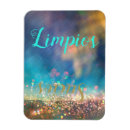 Recherche de espagnol magnets Sale