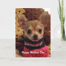 Search for chihuahua mothers day cards Mom