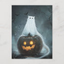 Recherche de cat lantern cartes postales Chat noir