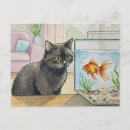 Recherche de poisson cartes postales Postcrossing