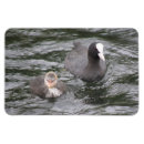 Recherche de mona magnets Animaux