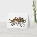 Search for winter robin christmas cards Bird