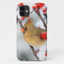 Search for winter bird iphone cases Berry