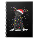 Search for labrador notebooks Animal