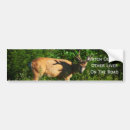 Recherche de cheminement voiture autocollants Animal