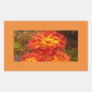 Recherche de marigold autocollants Orange
