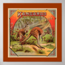 Recherche de kangourou australie posters Animaux