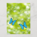Search for pretty girly postcards Animal