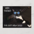 Search for new cat announcement postcards Funny