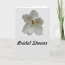 Search for magnolia bridal shower invitations Southern