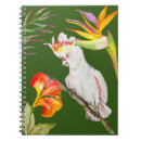 Search for big bird notebooks Cute
