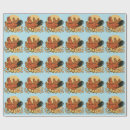 Search for chicken wrapping paper Fun