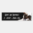 Search for tiger bumper stickers Jungle