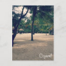 Search for cozumel postcards Sand