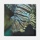 Recherche de sous la mer magnets Poisson
