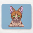 Search for tabby cat electronics Kawaii